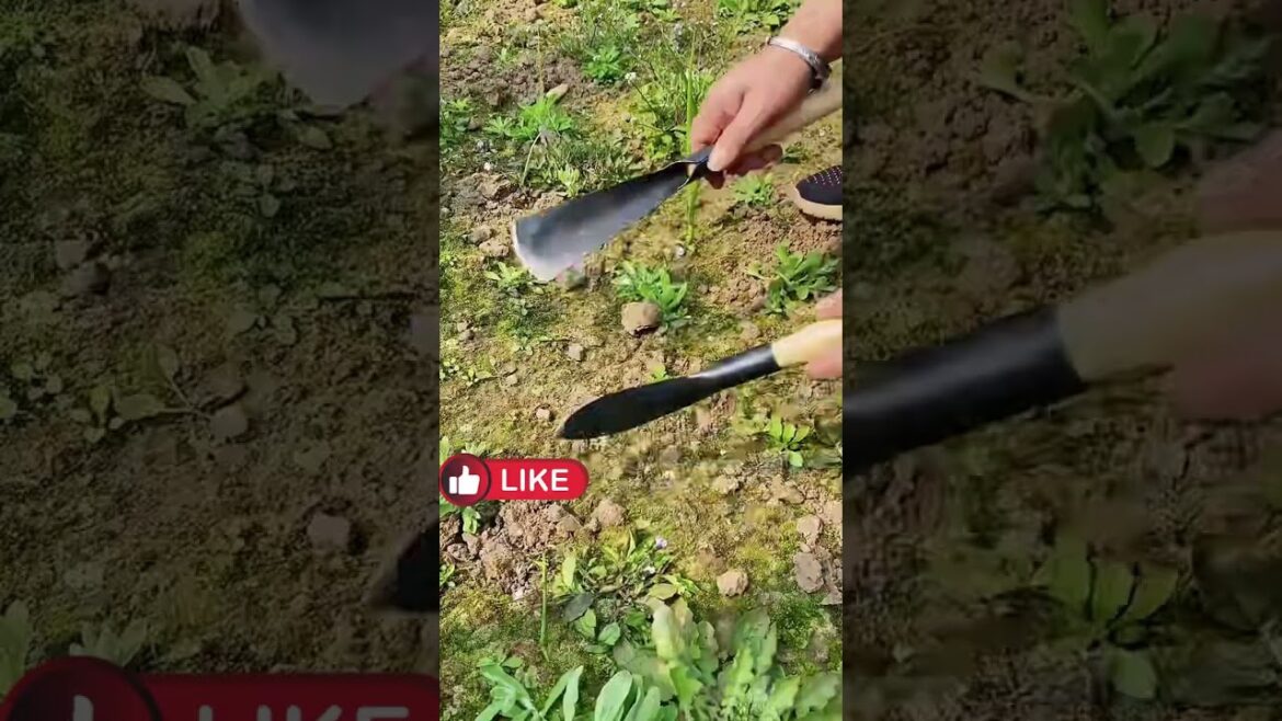 Gardening tools DIY Crafted, farming craftsman #farming #diy #tools #craft #shorts