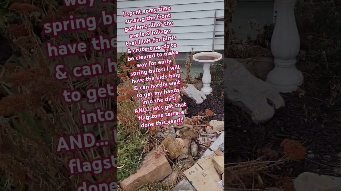 ⚘️🪻Let's Assess the Front Yard Gardens! Time for Early Spring Blooms! Frugal Mama Gardens