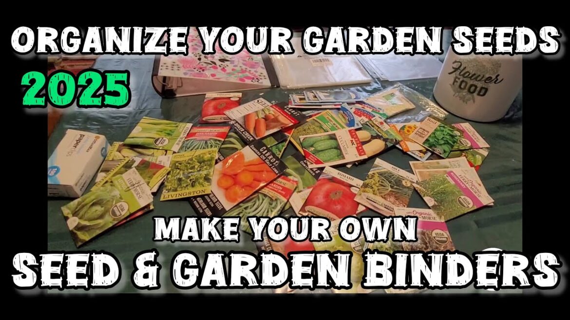 How to organize your seeds and garden plans for 2025. Easy DIY Seed storage How to organize your seeds and garden plans for 2025. Easy DIY Seed storage