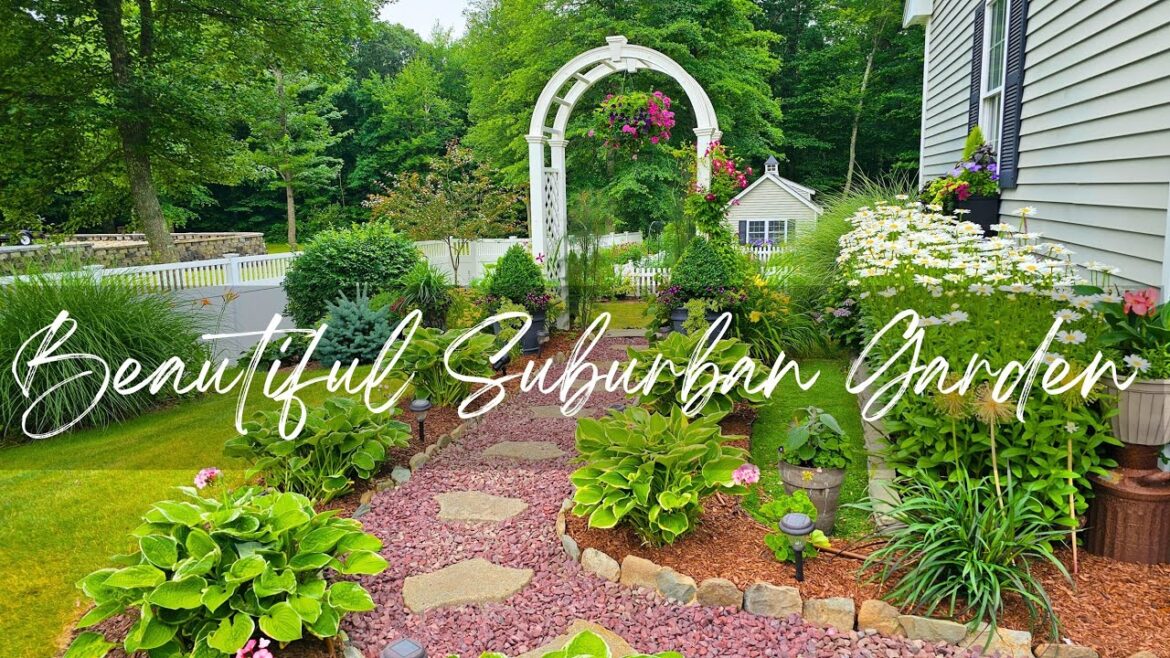Creating Pockets of Beauty In A Suburban Garden. July Garden Tour 2024. Creating Pockets of Beauty In A Suburban Garden. July Garden Tour 2024.