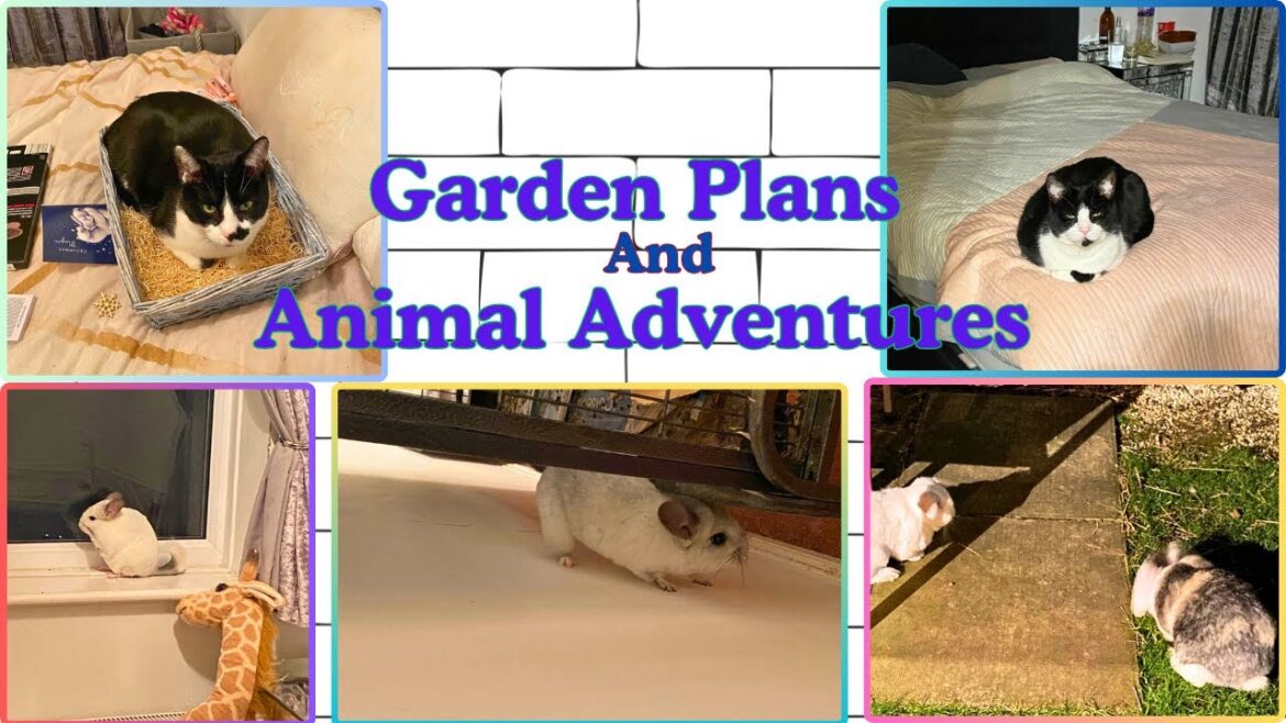 GARDEN PLANS AND ANIMAL ADVENTURES 🐹 | BACKYARD HOMESTEAD VLOG | PLANTING TIPS