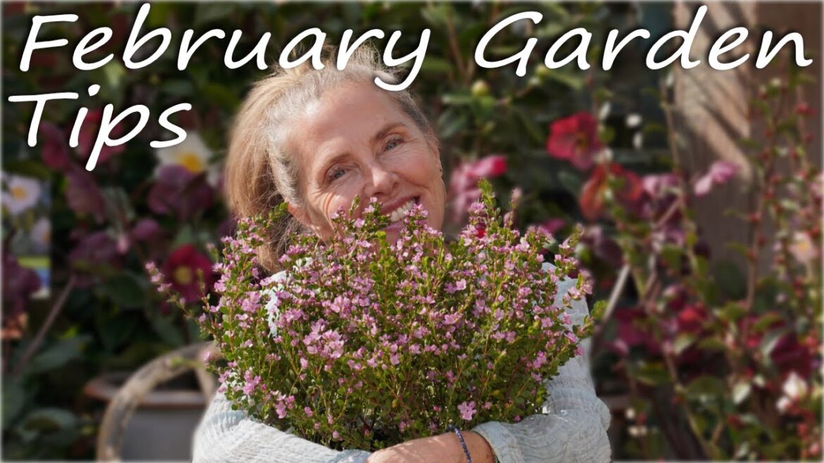 π·π Garden Tips and Tricks for February! π·π #gardeningtips #gardening #garden101 π·π Garden Tips and Tricks for February! π·π #gardeningtips #gardening #garden101