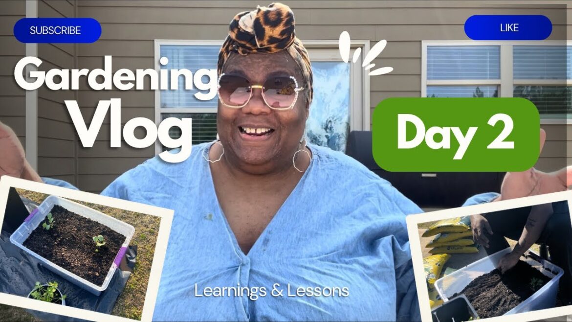 Day 2 Gardening Journal: Lessons from My Container Garden Journey Day 2 Gardening Journal: Lessons from My Container Garden Journey