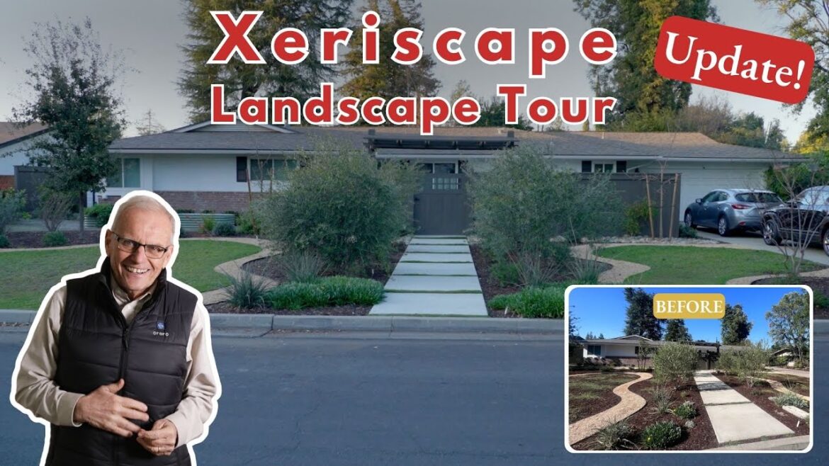 A Water Efficient Front Yard Landscape Tour (Progress Update!)