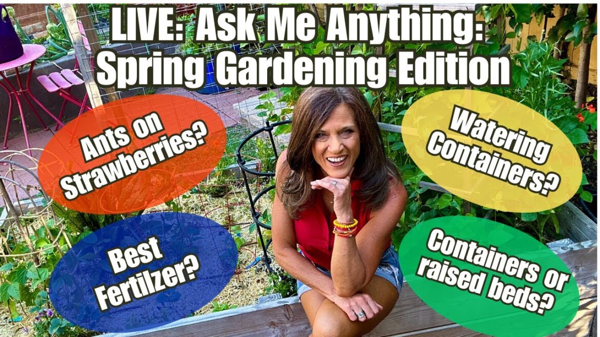 CaliKim: š
LIVE: Ask Me Anything: Spring Gardening Edition š
LIVE: Ask Me Anything: Spring Gardening Edition