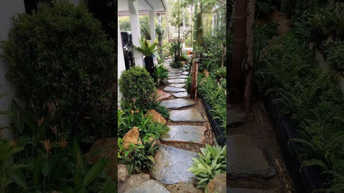 Elegant Patio Garden design ideas