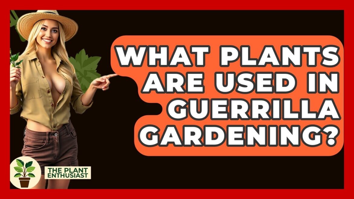 What Plants Are Used In Guerrilla Gardening? - The Plant Enthusiast