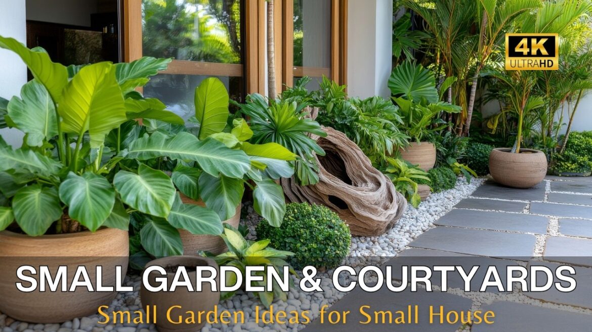Small Garden Ideas for Small Houses: Transform Your Front Yard & Backyard with Floral Beauty