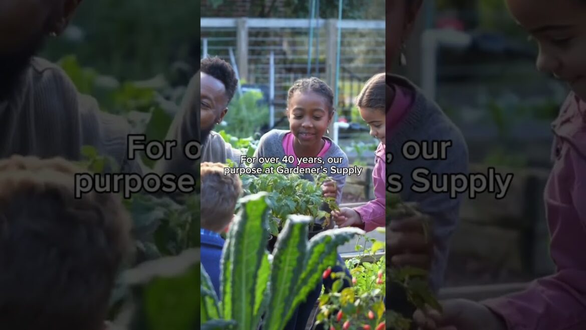 Spring Equinox Is Here: Gardener’s Vernal Reflections Spring Equinox Is Here: Gardener's Vernal Reflections