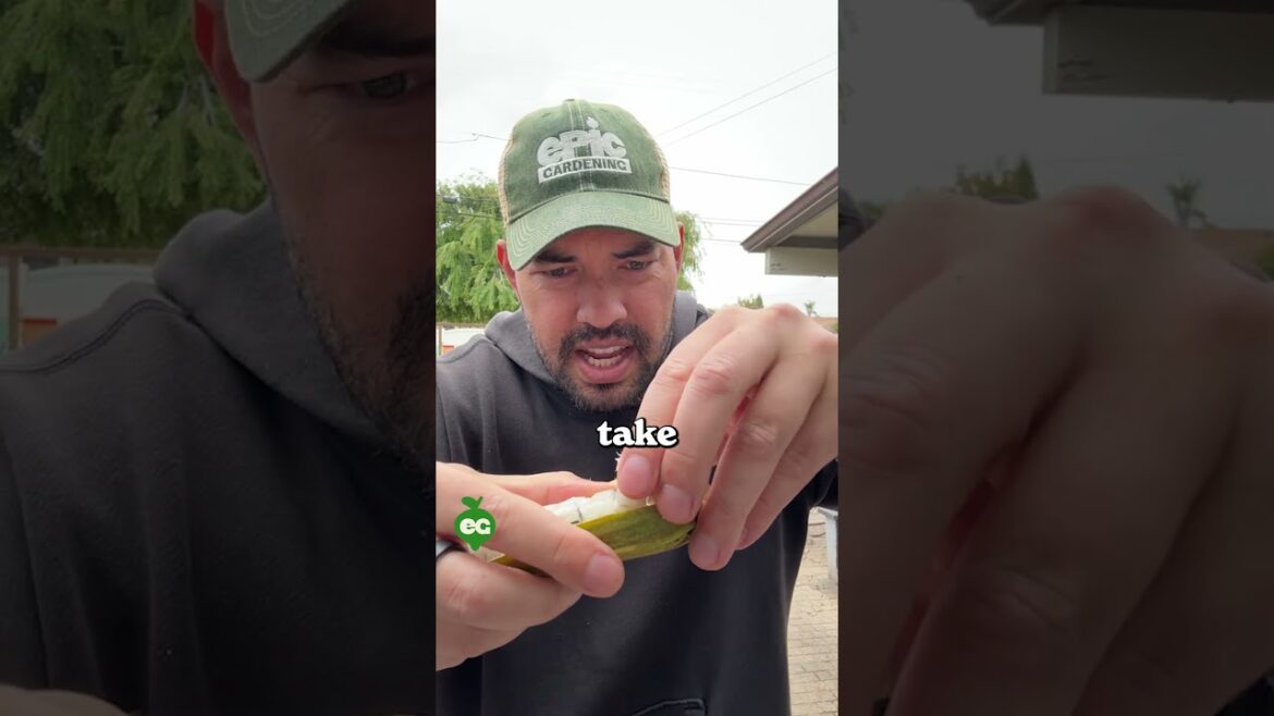 I grew an "ice cream" bean...