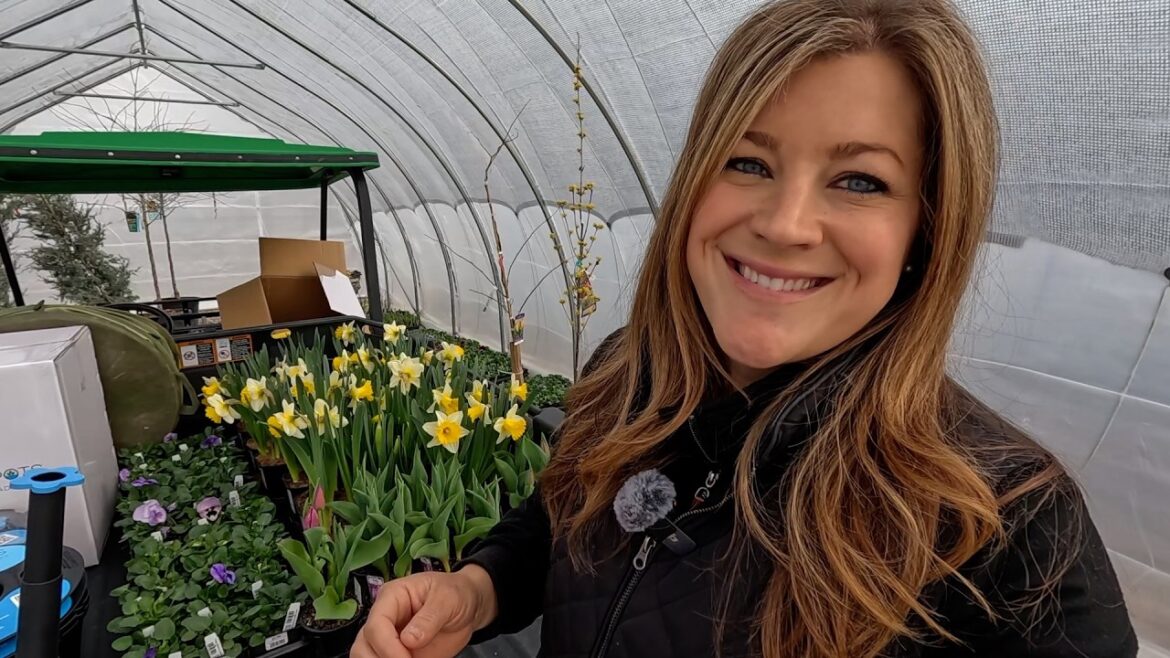 Planting 13 Simple, Sweet, Spring Containers & 3 Invincibelle Ruby Hydrangeas! 🌸🌸🌸 // Garden Answer