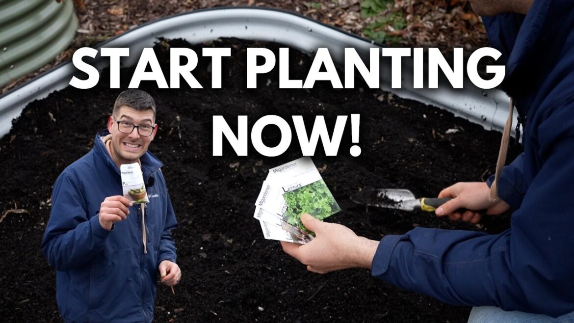 MIgardener: It’s Time! Seeds To Direct Sow NOW In Late March! It's Time! Seeds To Direct Sow NOW In Late March!