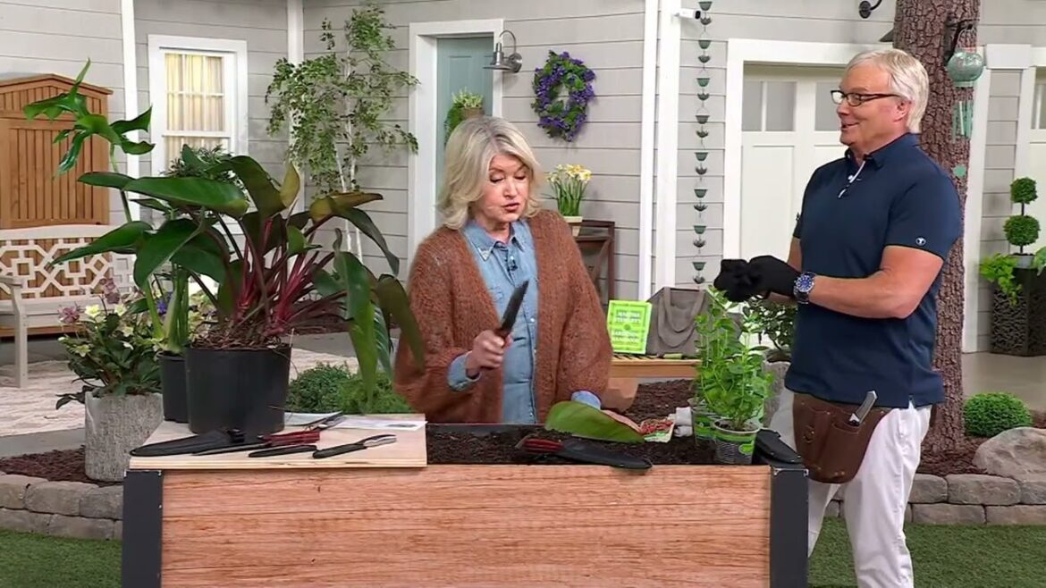 Martha Stewart Hori Hori and Serrated Knife Garden Cutting Tool Set on QVC Martha Stewart Hori Hori and Serrated Knife Garden Cutting Tool Set on QVC