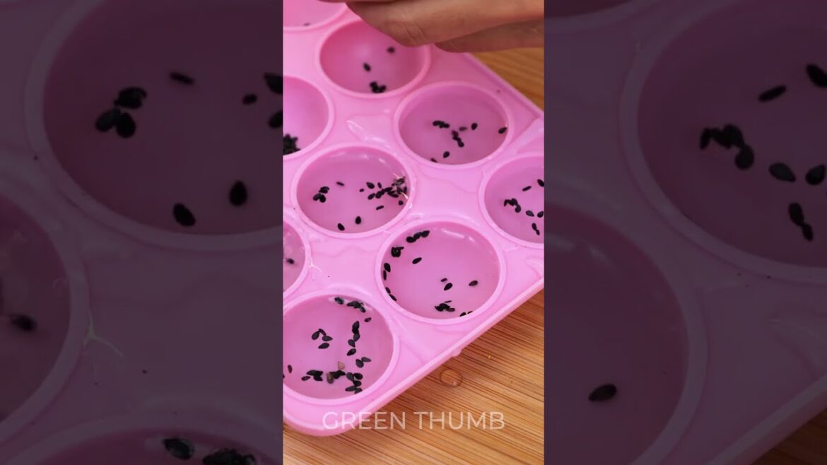 Look at these surprising plant hacks to make them bloom!