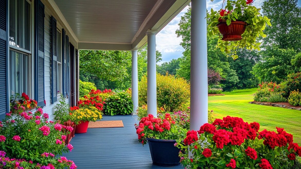 200 Effortlessly Stunning Front Porch Decor Ideas: Simple Designs Anyone Can Achieve 200 Effortlessly Stunning Front Porch Decor Ideas: Simple Designs Anyone Can Achieve