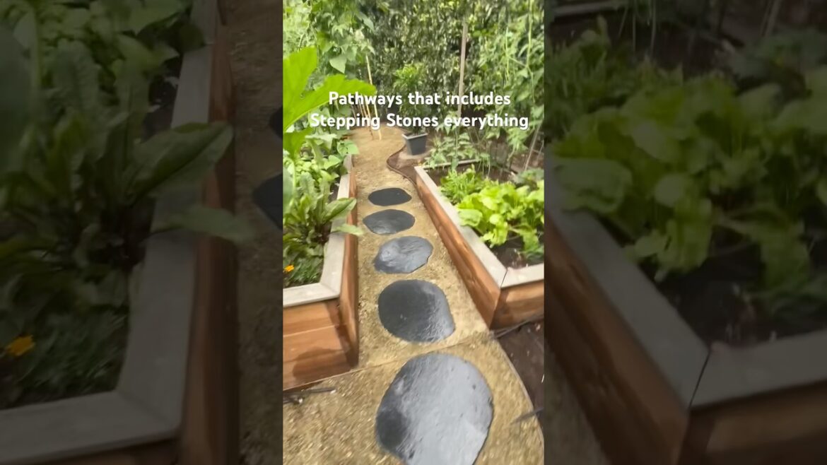 DIY Landscape design! Steel garden edging, pathways, stepping stones, the lot 🫶🏼🙏🏼