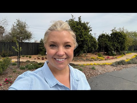 Planting Heliotrope, Cypress & Echium! Plus Garden Updates Planting Heliotrope, Cypress & Echium! Plus Garden Updates