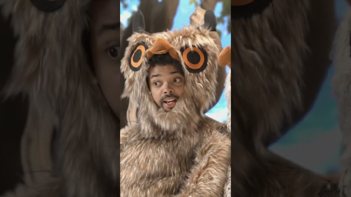 Central Landscape Supplies has everything you need to transform your garden, lawn and landscapes.