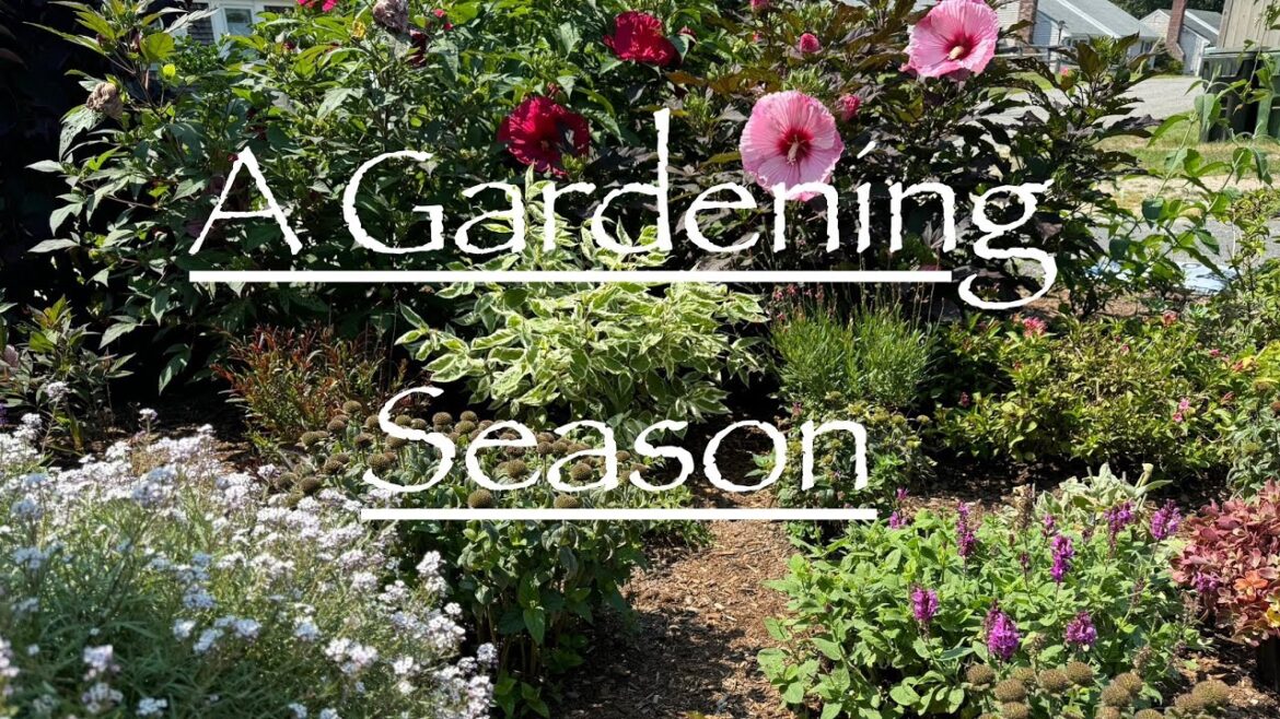 Front Yard Garden Look Back & Chat, Naming Gardening Spaces⏳🌱☀️🍂❄️Ep33