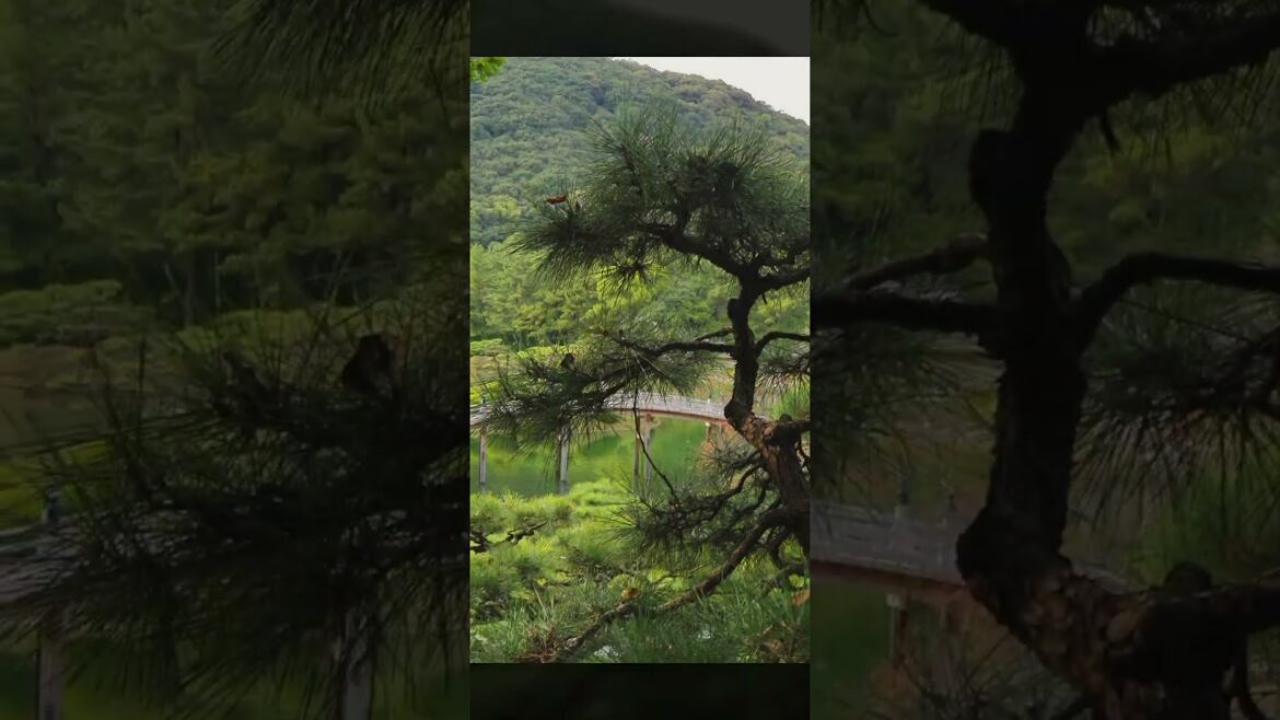 Ritsurin Garden, a stunning Japanese Garden, Takamatsu, Japan #japan #traveljapan #japanesegardens