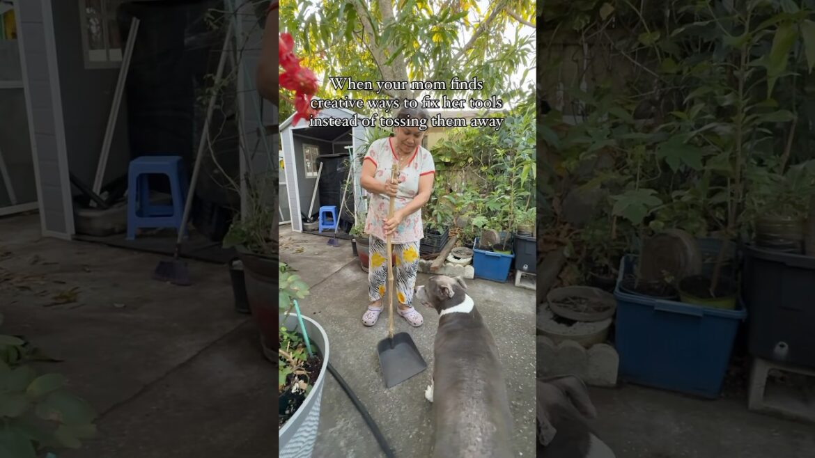 Do you know someone that’s this resourceful? Tag them below! #gardening #tools #upcycle #resourceful