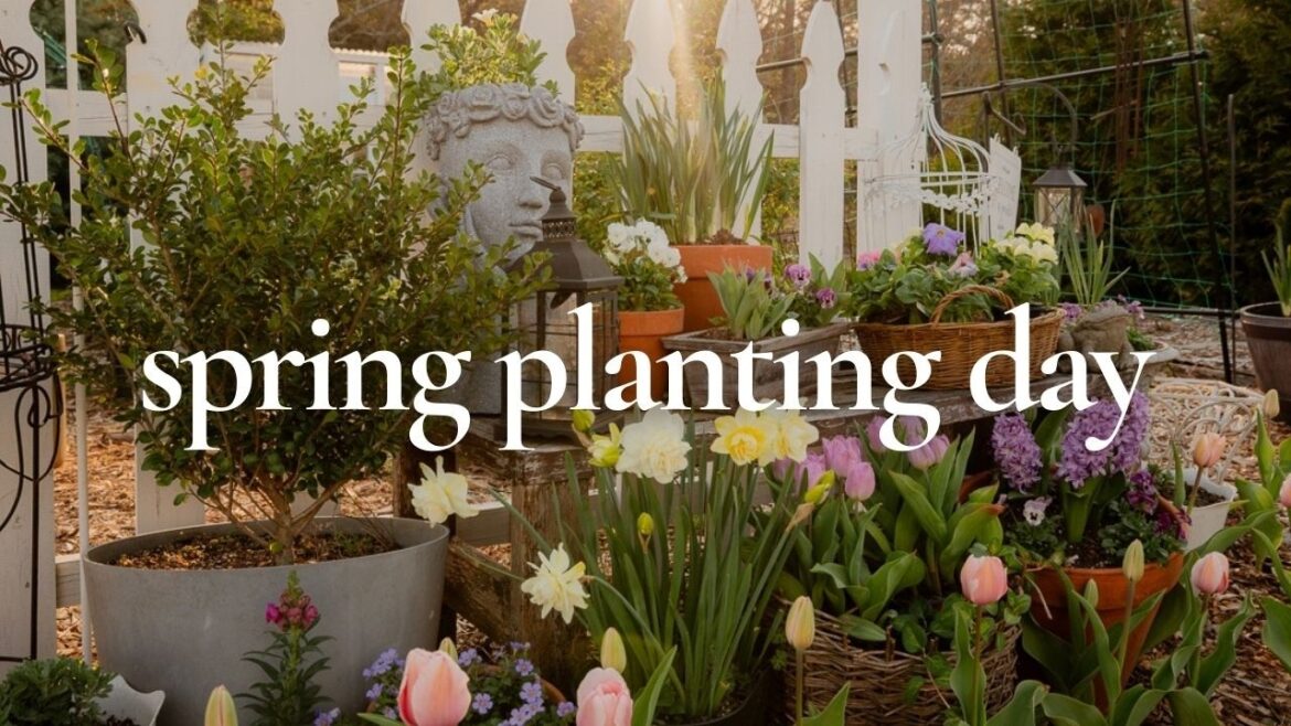 Finally Planting Up My Spring Kitchen Garden Display!