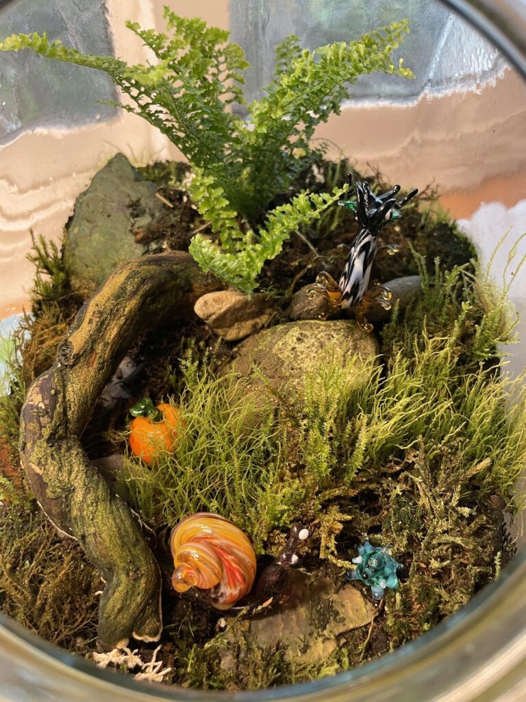 Love putting glass critters in my mossarium