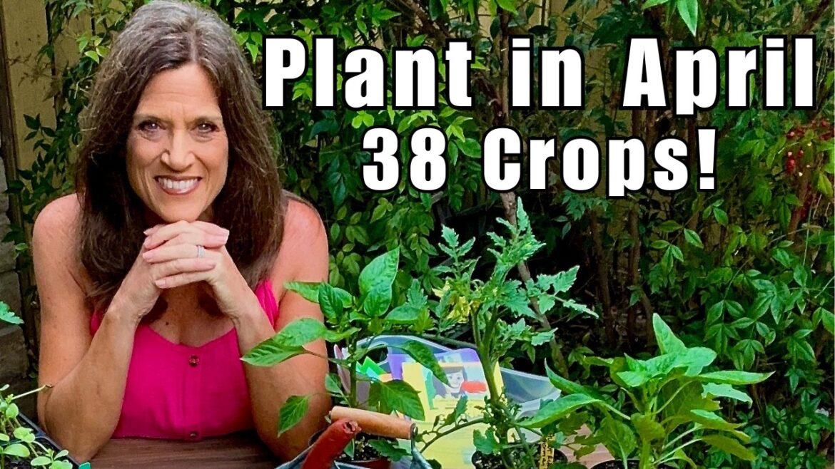 38 Crops You Must Plant in April (Before It’s Too Late – No Matter Where You Live!)