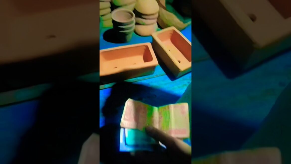 important tips for terracotta pot               #gardening