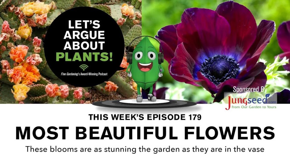 Episode 179: Most Beautiful Flowers