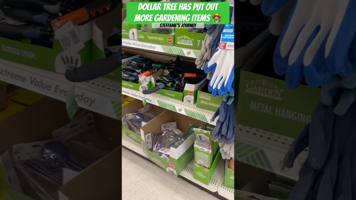 Dollar Tree Garden Supplies Are In! | Shop With Me || Steffanie’s Journey