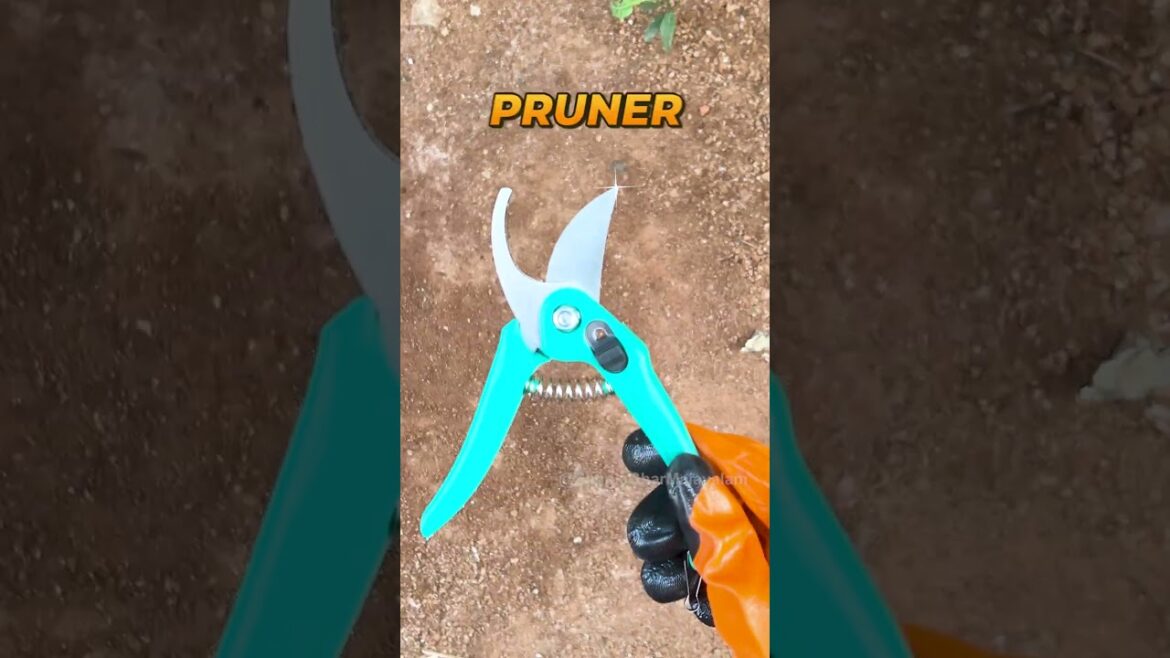 I found the perfect gardening tools….. I found the perfect gardening tools.....