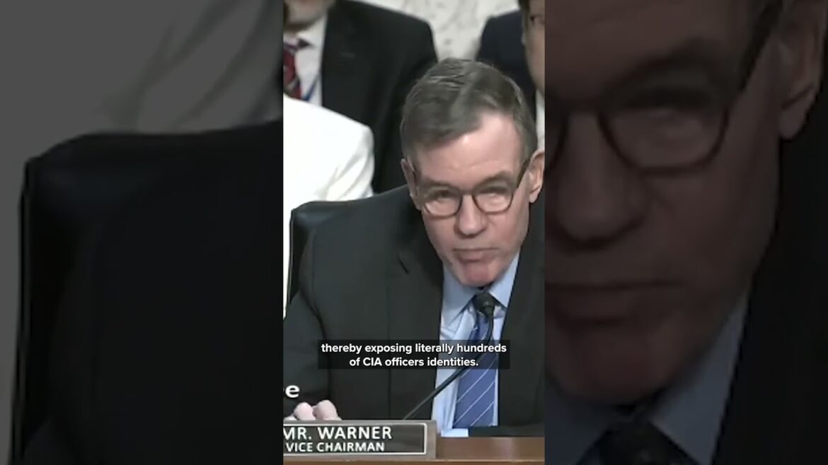 Heated exchange between Intel Admin and Senator over war plans leak