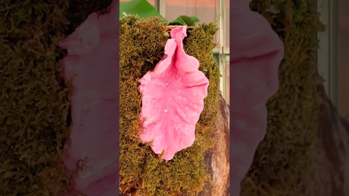 Tips for successful Mars gardening 🌌 #garden #gardeninghacks #gardening