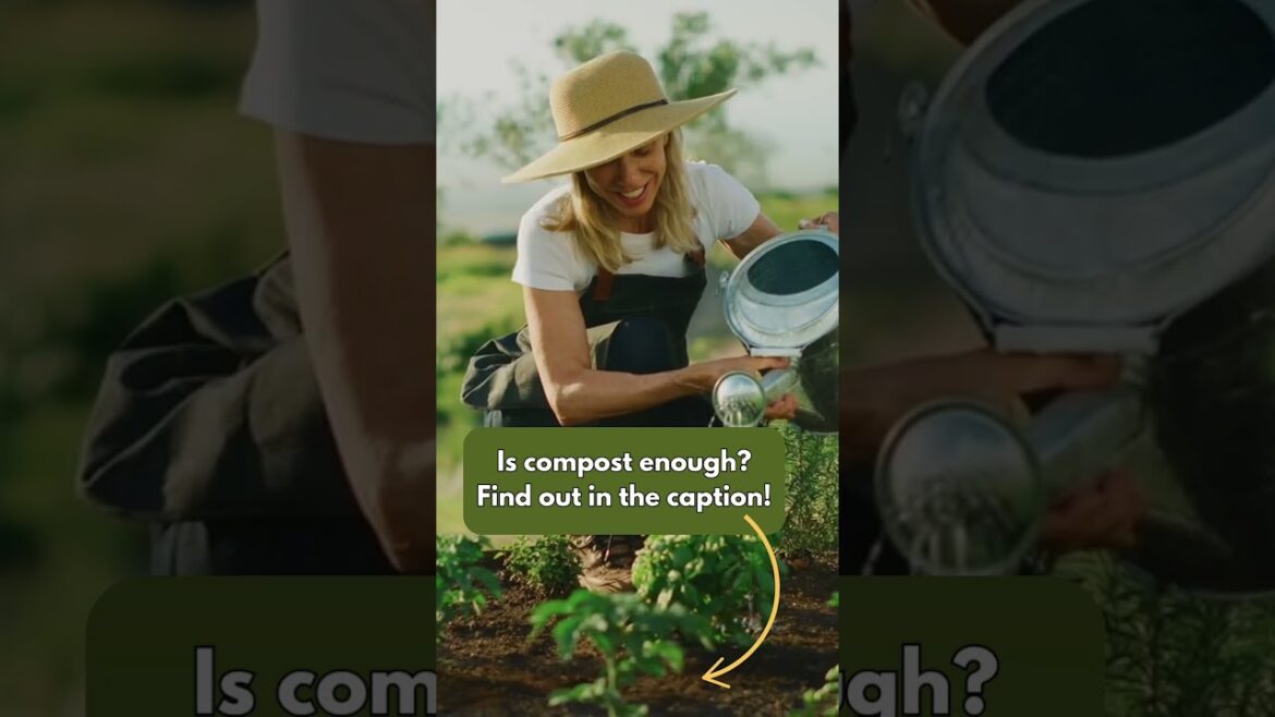 Best Organic Fertilizer for Vegetables