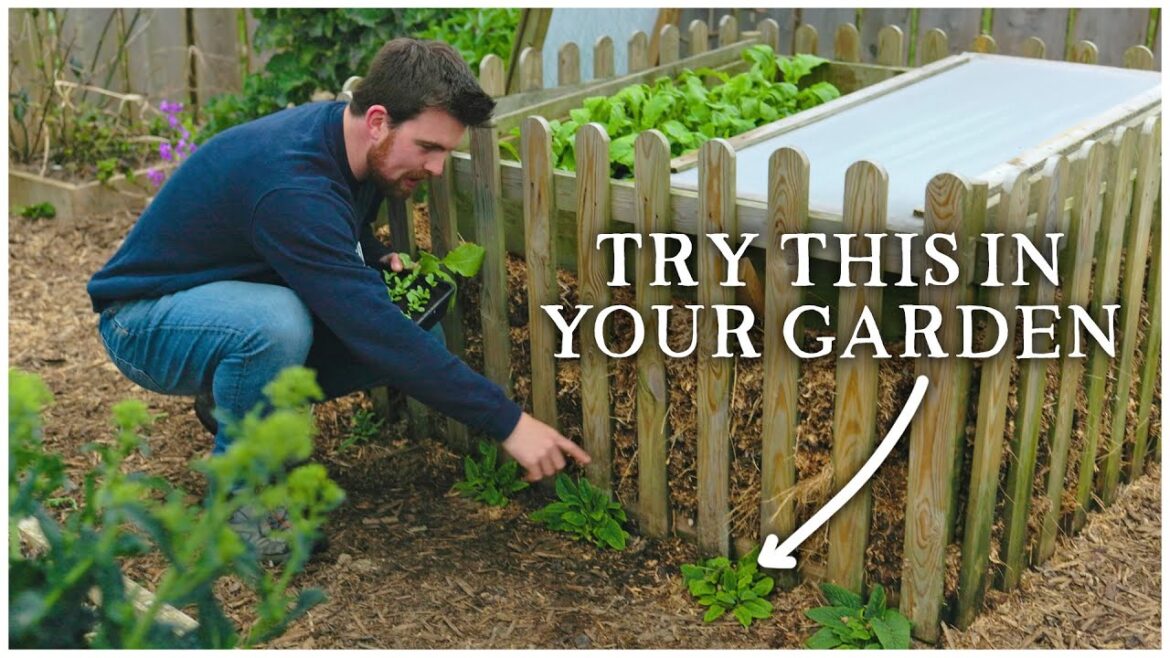 Composting Trick, First Plantings & Pruning Berries | The Kitchen Garden Ep1