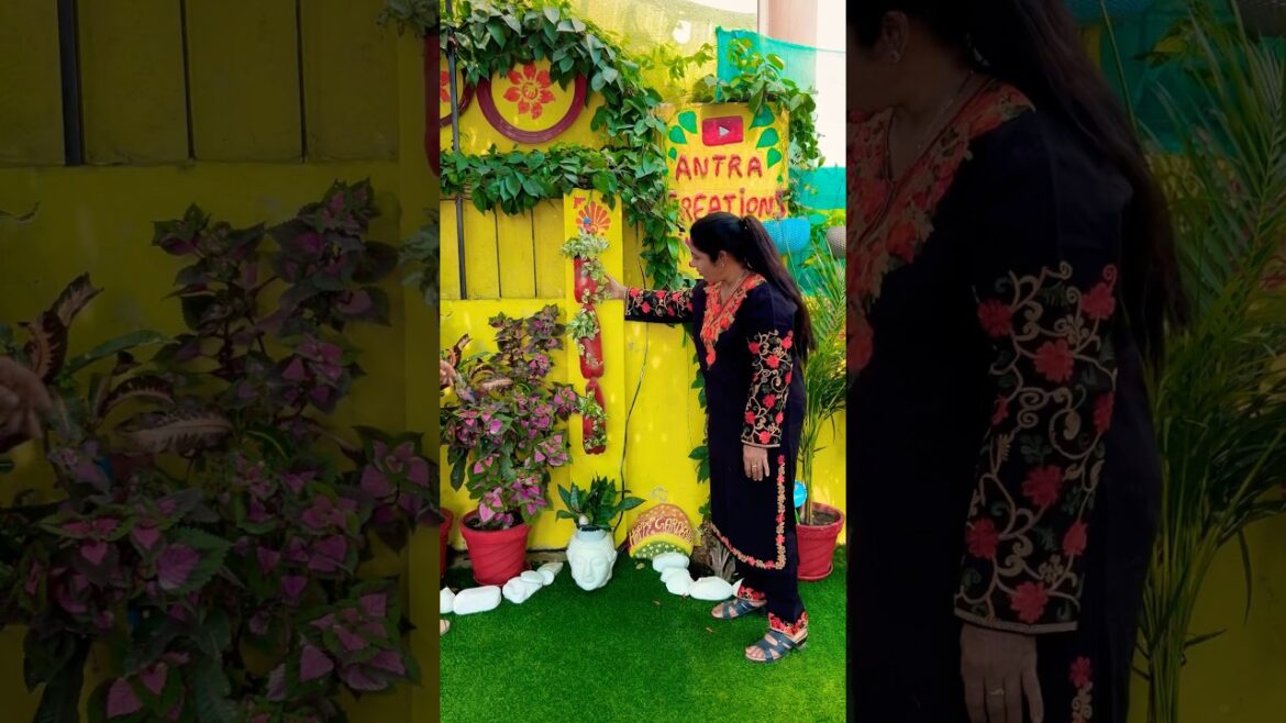 DIY garden decoration ideas #garden #plants #flowers #youtubeshorts #diy #planters #shorts#waste