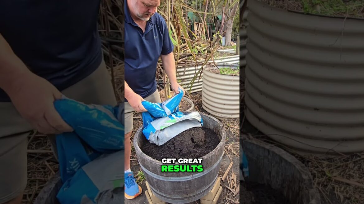 Unlock the Secrets of Container Gardening for Beginners!