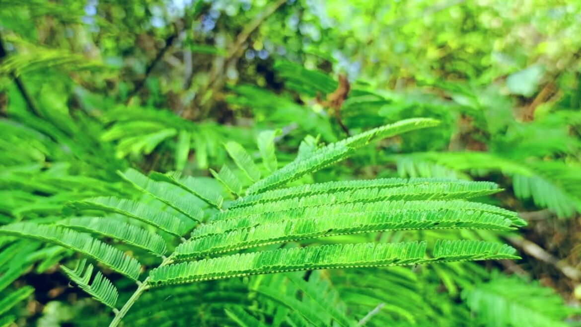 Perfect outdoor landscape design ideas  Your garden, your style----------------------------------