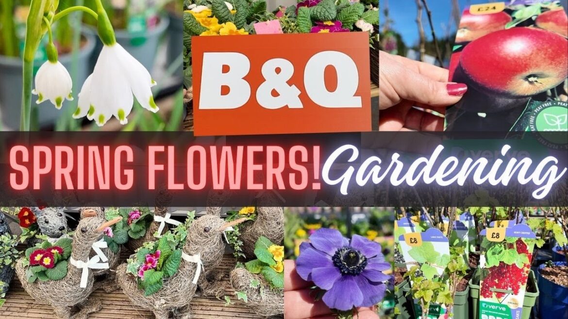 B&Q New Plants | Spring Gardening 2025 | 50p Seed Sale | Come Shop With Me 🌱🌷