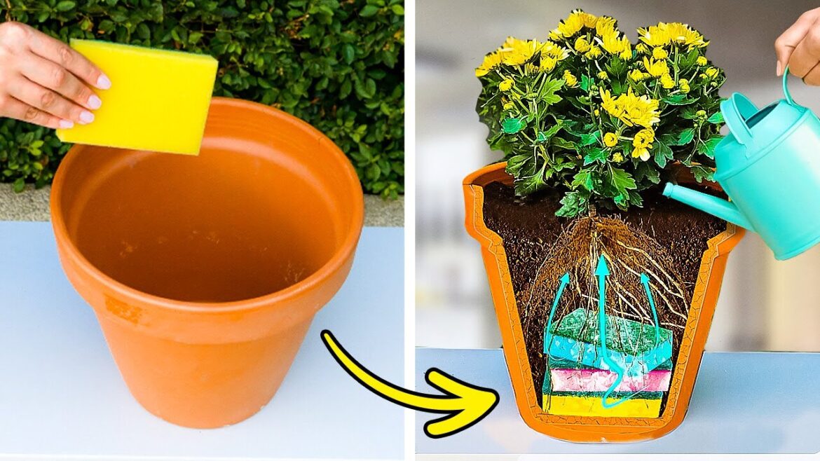 Easy Garden Hacks for Busy Professionals Easy Garden Hacks for Busy Professionals