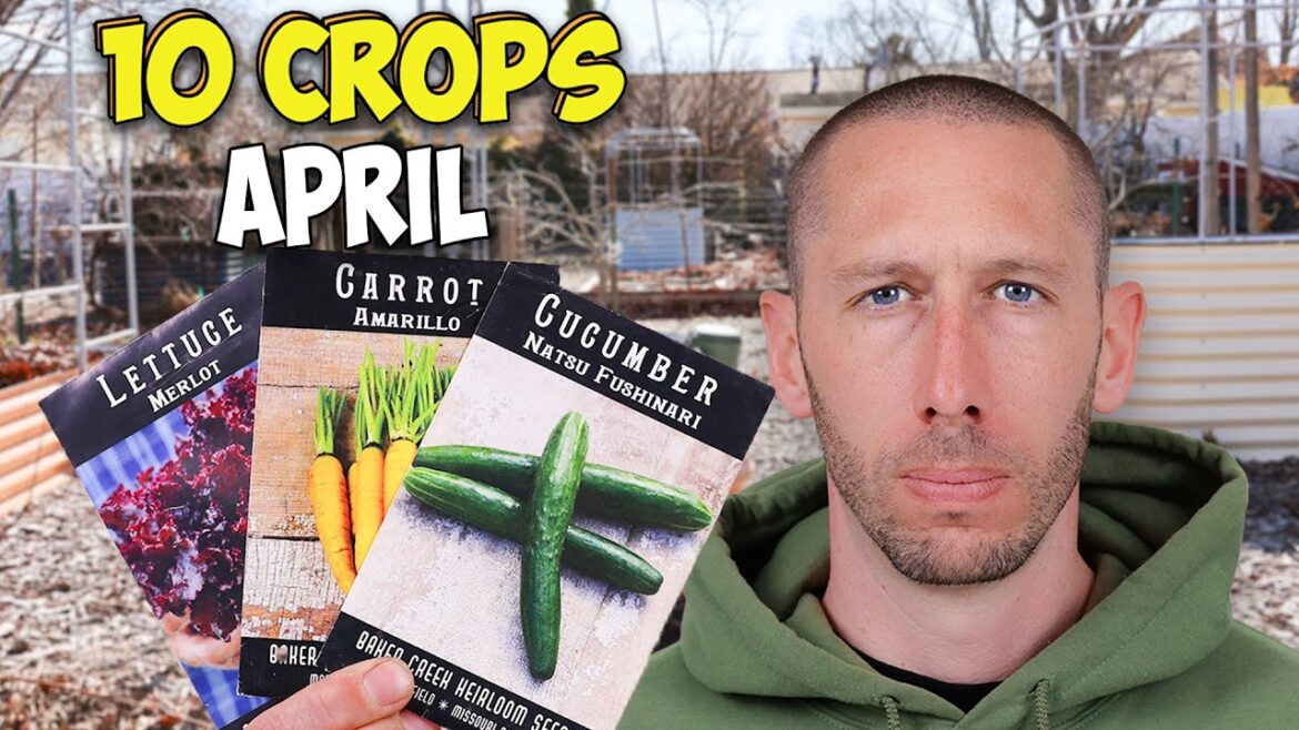 James Prigioni: 10 Crops You’d be Foolish Not to Plant in April… 10 Crops You'd be Foolish Not to Plant in April...