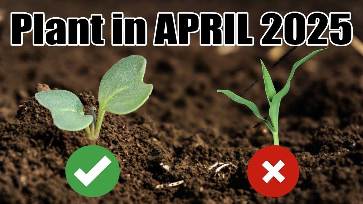 Don’t Miss Out!! Start These 16 Vegetables in April.