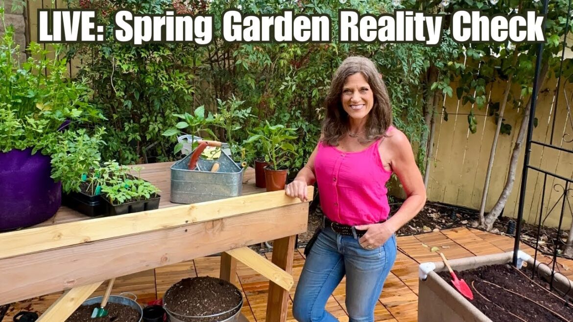 CaliKim: 🍅LIVE: Spring Garden Reality Check! What No One Tells You About Starting the Season 🍅LIVE: Spring Garden Reality Check! What No One Tells You About Starting the Season