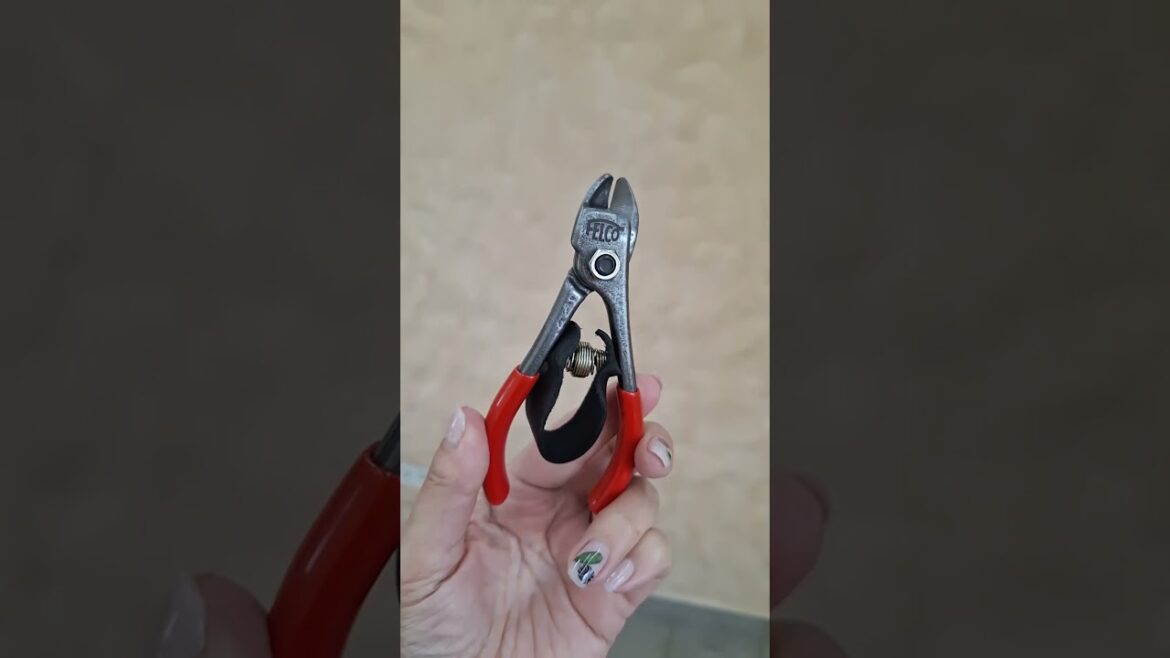 Секатор FELCO 330 для збору фруктів #garden #fruit #fruits #shorts #shortsvideo #gardener #gardening