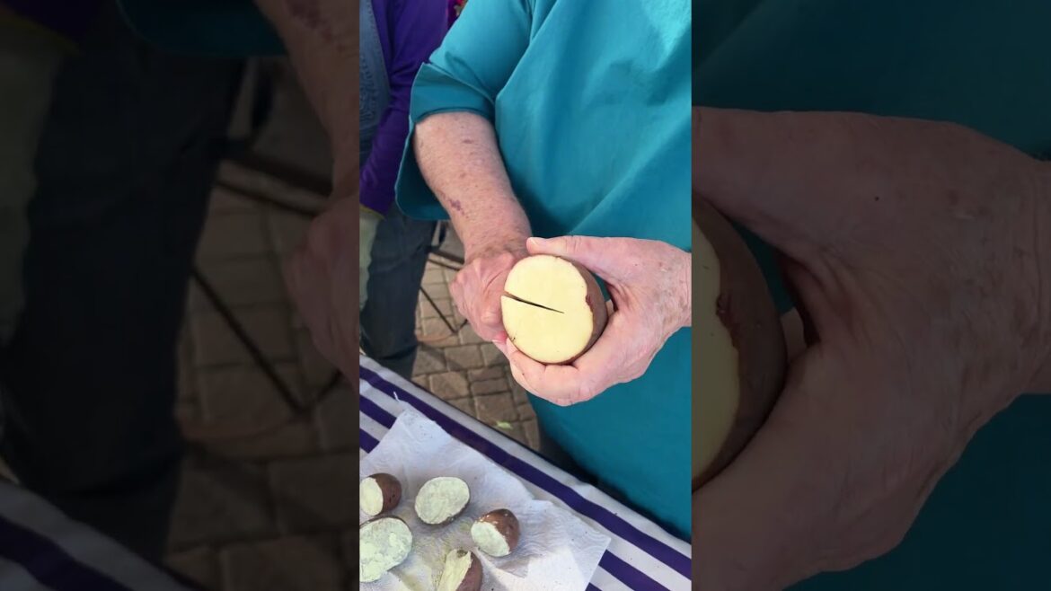How to Grow Potatoes in a Bag 🥔 | Easy Container Gardening! #gardening #texasgardening How to Grow Potatoes in a Bag 🥔 | Easy Container Gardening! #gardening #texasgardening