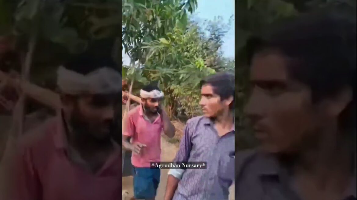 Agrodhan Nursary _70839 27667