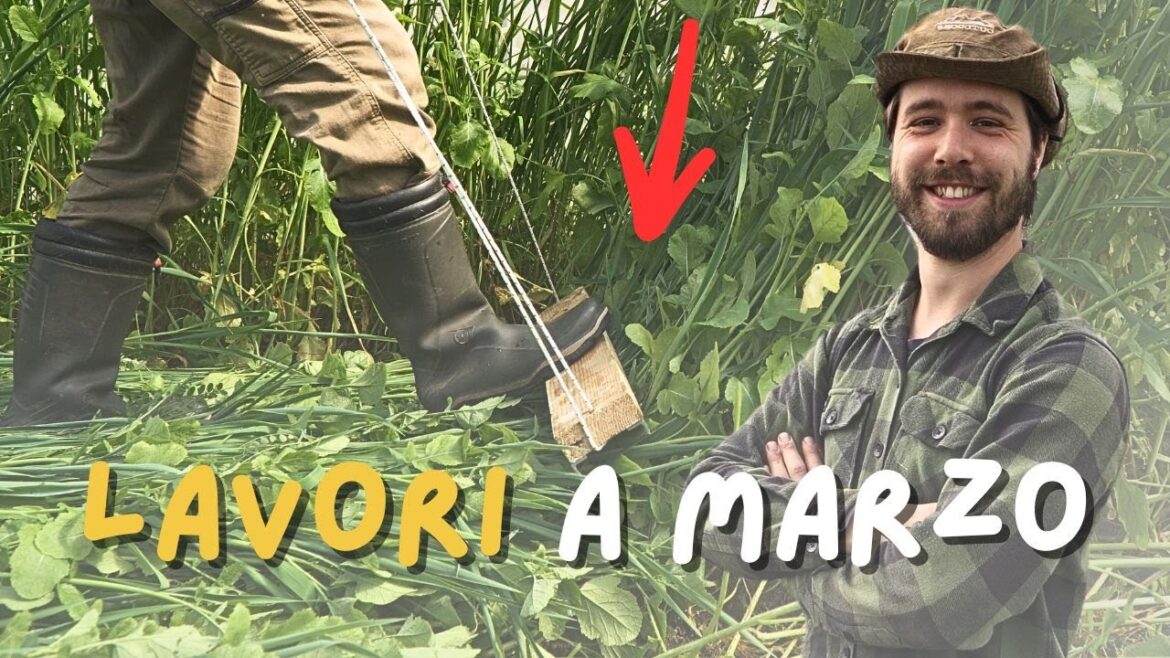 Lavori in Orto a Marzo e Piani per un Orto Super Produttivo.