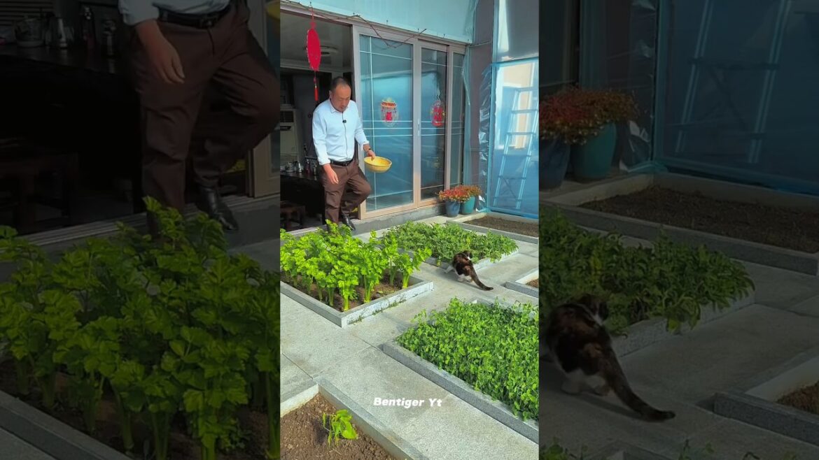 This Man Turned His Home Into a Farm! 🌱🏡