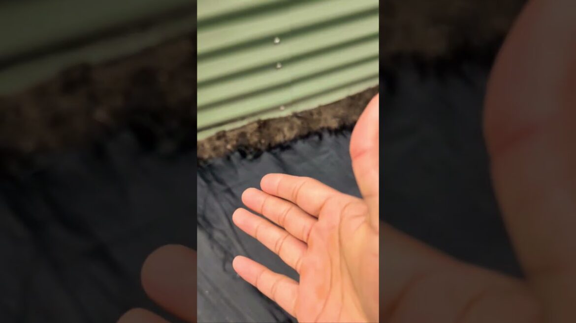 Best Fabric Weed Barrier ” No More Weed” (4-5 years later) #bestseller #garden #lawncare Best Fabric Weed Barrier " No More Weed" (4-5 years later) #bestseller #garden #lawncare